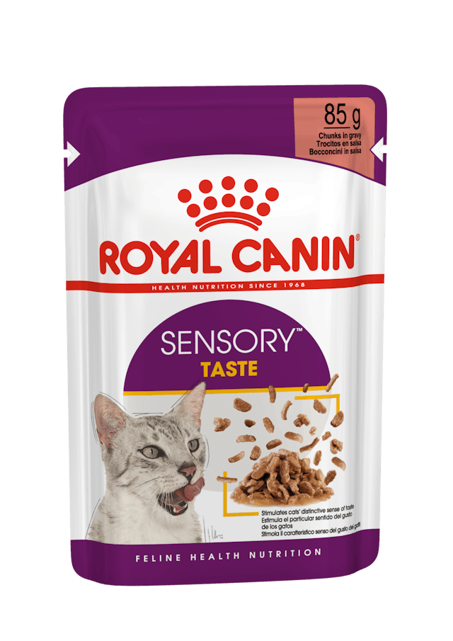 ROYAL CANIN® Sensory Taste Gravy, Mitrā barība kaķiem, 85g