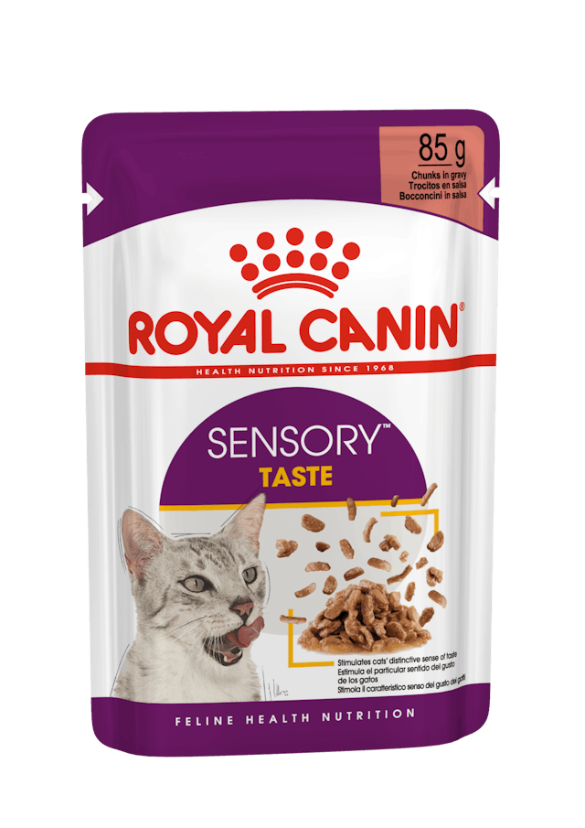 ROYAL CANIN® Sensory Taste, Stückchen in Sauce, Nassfutter für Katzen, 85 g