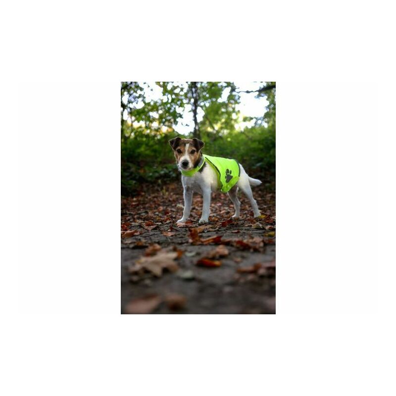 Flamingo Safety Vest S Size for Dogs Red Colour