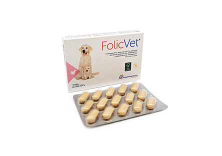 FolicVet Supplement For Dogs and Cats, 10mg N15