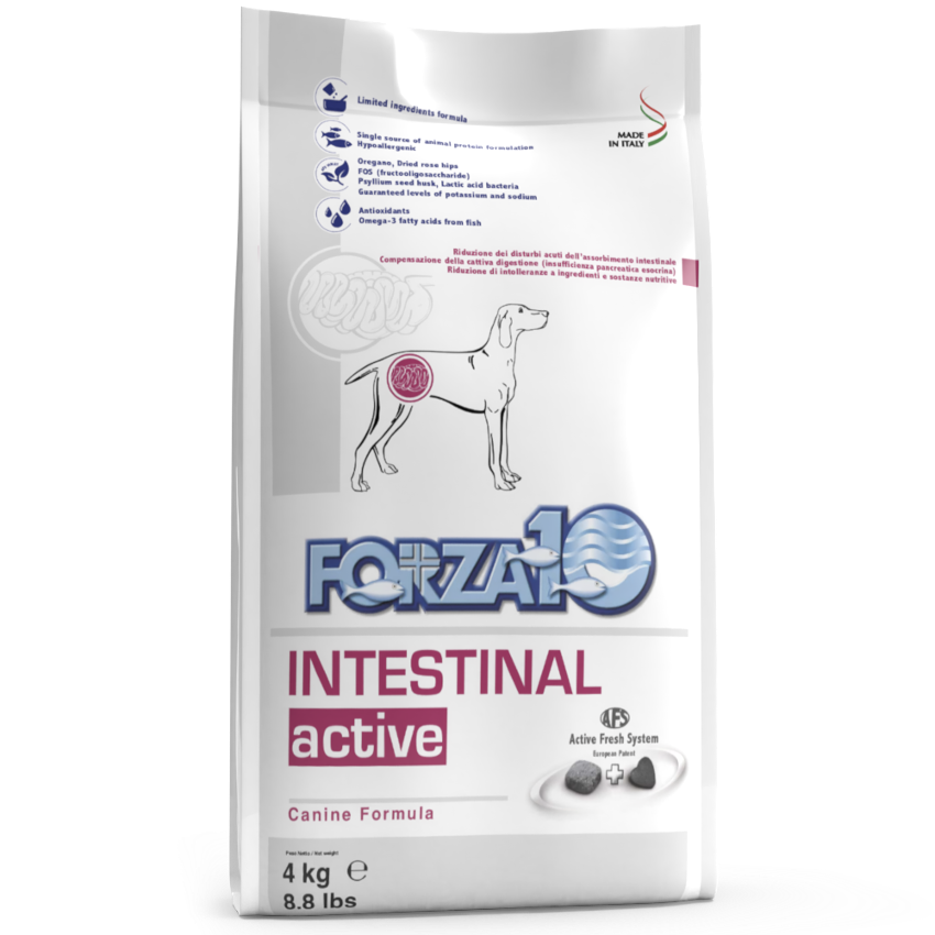 Forza10 Adult Dog Intestinal Active, Dry Dog Food With Fish, 10 kg