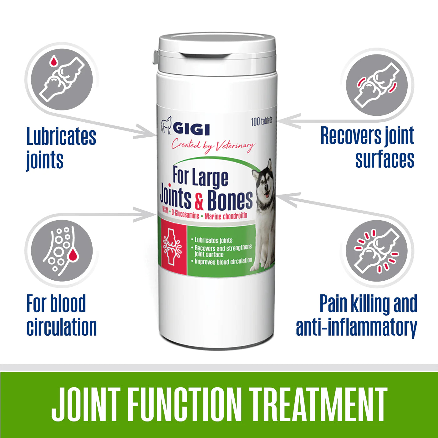 GIGI For Large Joints & Bones Suplemento para perros grandes, N100