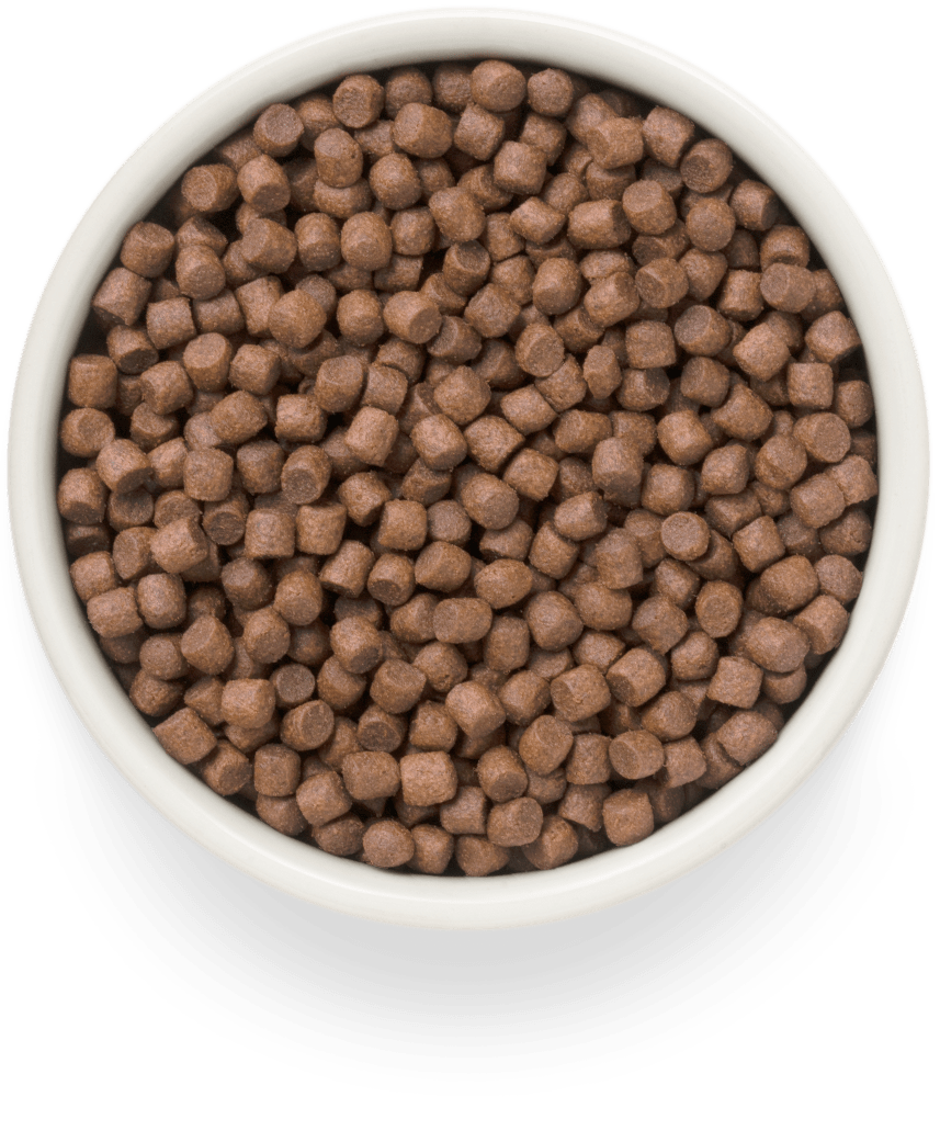 Grandorf Anka Vuxen Mini Raser 3kg