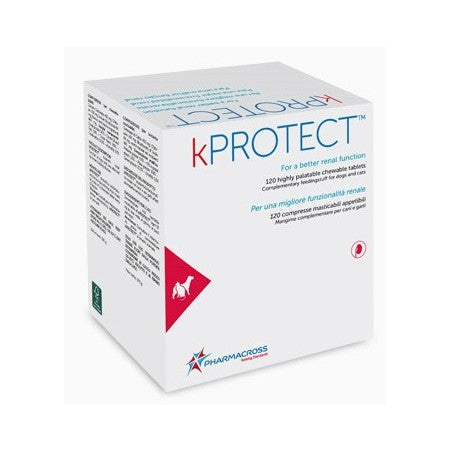 kPROTECT Supplement For Kidney Function, N120