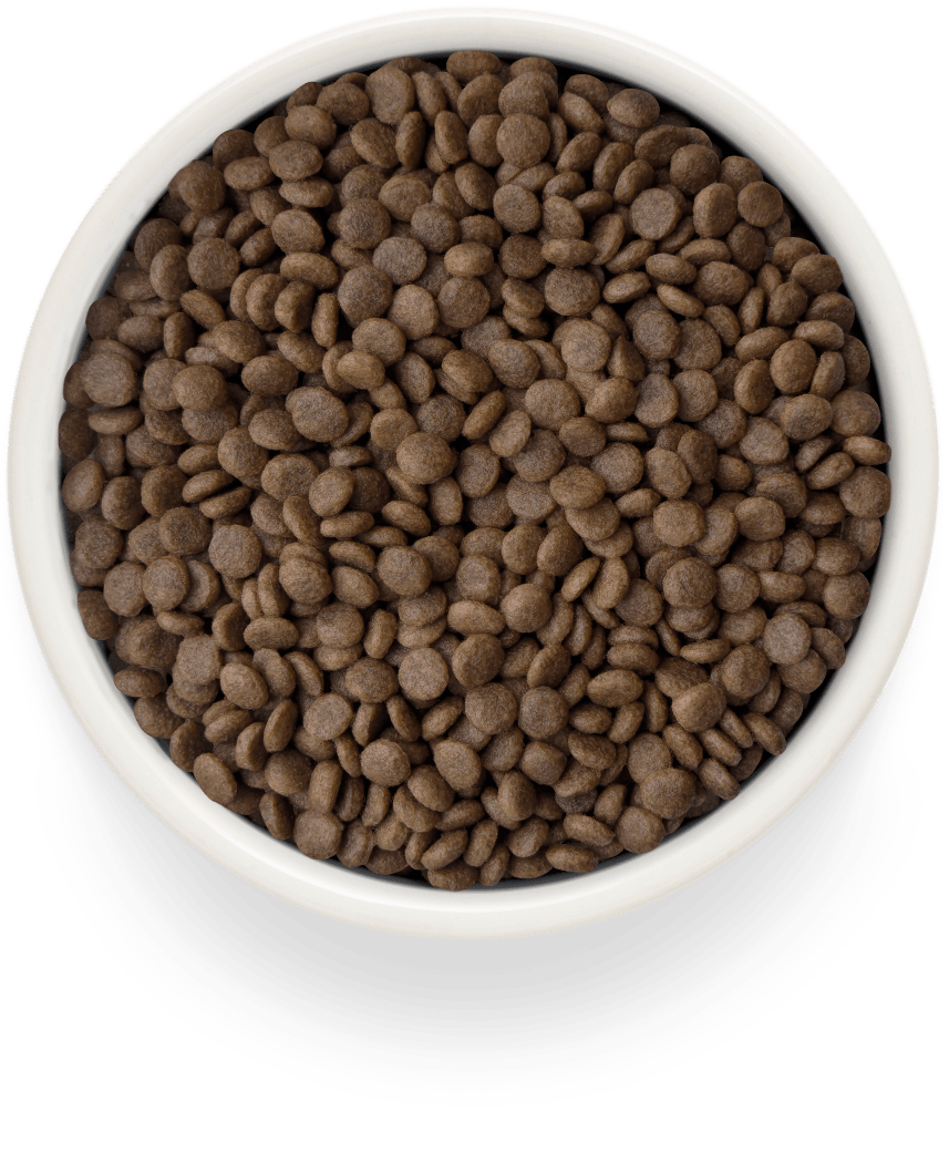 Grandorf Turkey & Potato Adult Sterilised 400g