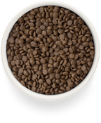 Grandorf Turkey & Potato Adult Sterilised 400g