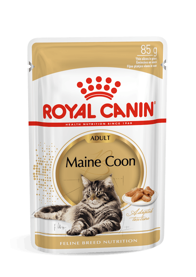 ROYAL CANIN® Maine Coon Thin Slices In Gravy, Wet Cat Food, 85 g