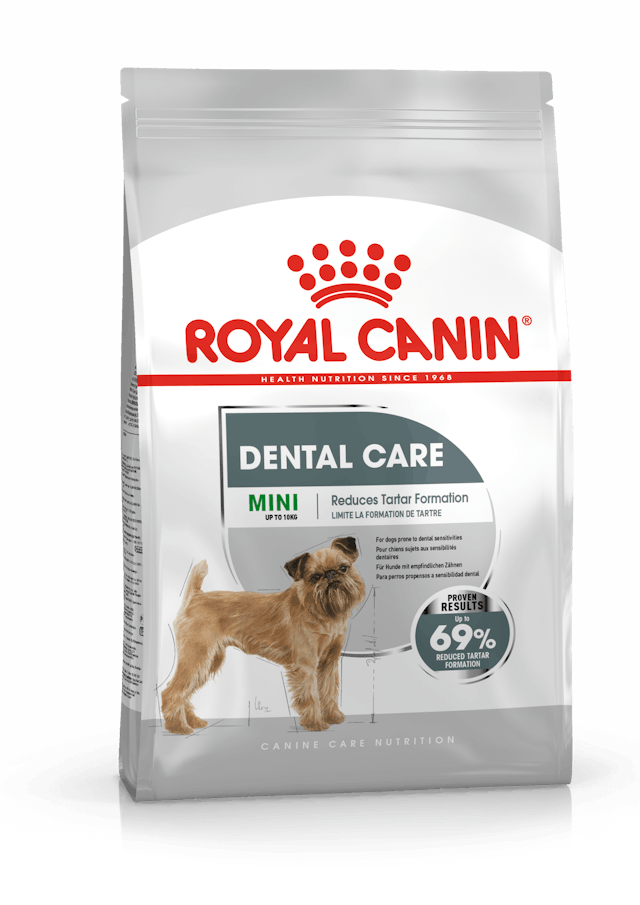 ROYAL CANIN® Mini Dental Care Sausā barība maza izmēra suņiem zobu veselībai, 1kg