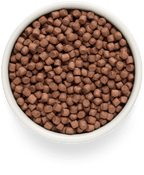 Grandorf Lamb Adult Mini Breeds 3kg