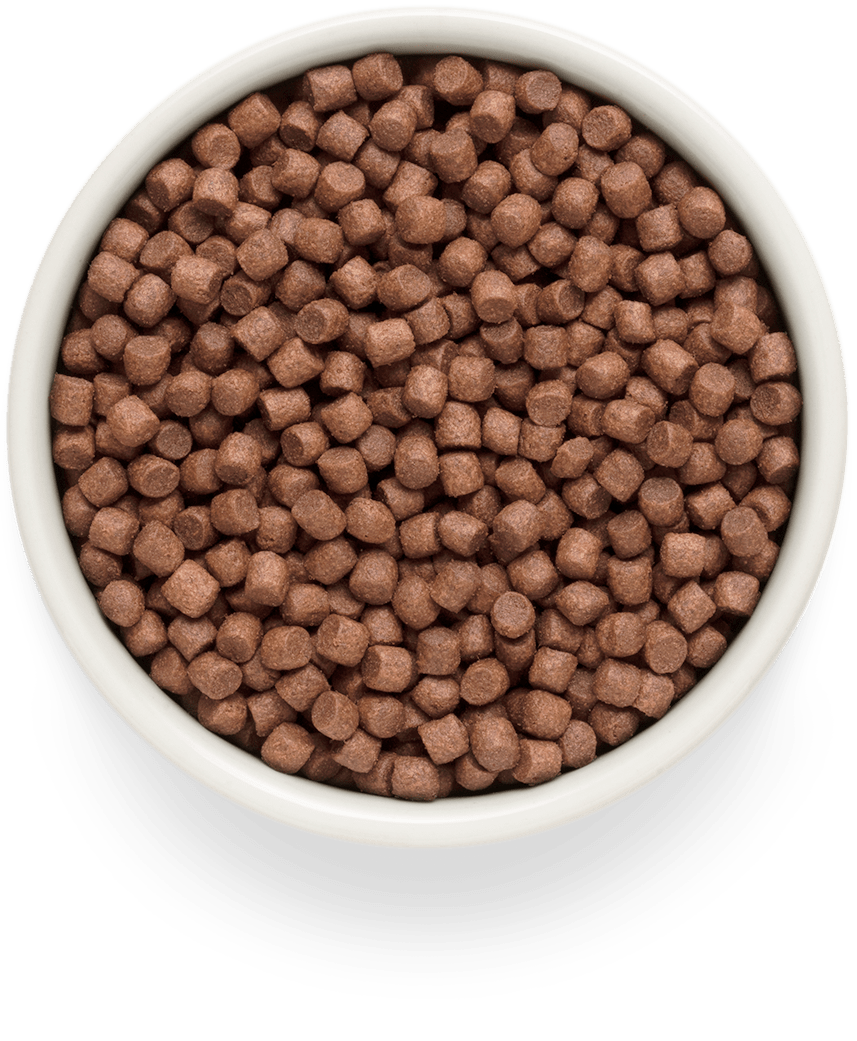 Ontario Dog Senior Mini nourriture sèche pour chiens avec agneau et riz, 2,25 kg