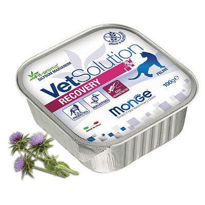 Monge VetSolution Feline Recovery 100 g Wet Cat Food