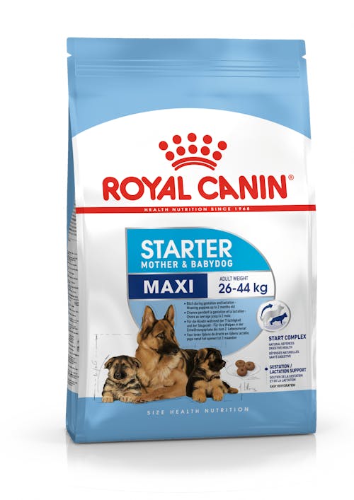 ROYAL CANIN® Maxi Starter Mother&Babydog Sausā barība lielu šķirņu kucēm un kucēniem, 15kg