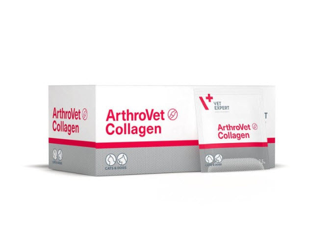 VetExpert Arthrovet Collagène pour chiens et chats pour maintenir les fonctions articulaires, poudre N60