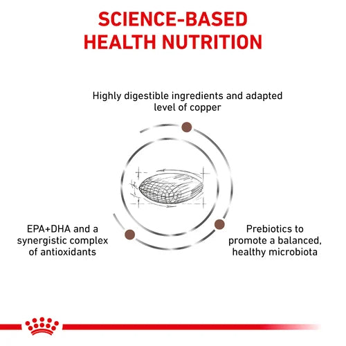 ROYAL CANIN® Veterinary Diet Hepatic Dog Sausā barība suņiem ar mājputna gaļu aknu slimības gadījumos, 1.5kg