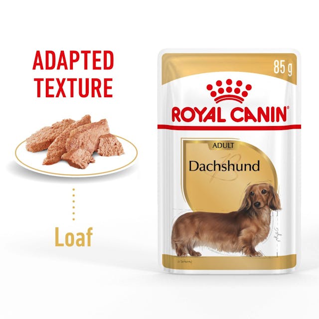 ROYAL CANIN® Dachshund Loaf, Wet Dog Food, 85g