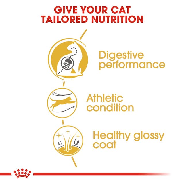 ROYAL CANIN® Bengal Adult Dry Cat Food, 2kg