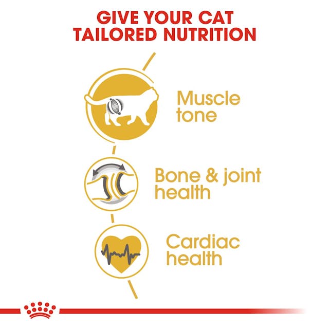 ROYAL CANIN® British Shorthair Vuxen Torrfoder för Katt, 10kg