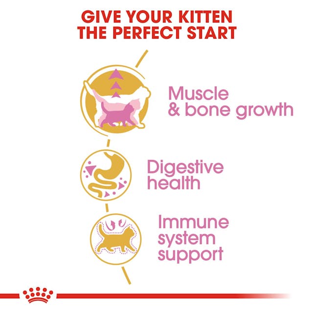 ROYAL CANIN® British Shorthair Kattunge Torrfoder, 10kg