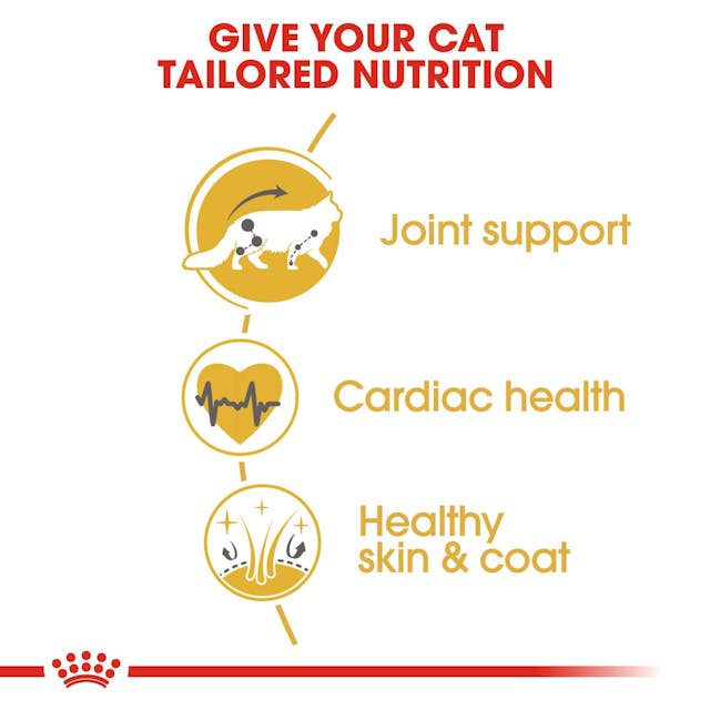 ROYAL CANIN® Maine Coon Vuxen Torrfoder för Katt, 10kg