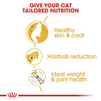 ROYAL CANIN® Norwegian Forest Cat Adult Dry Cat Food, 10kg