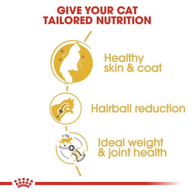ROYAL CANIN® Norwegian Forest Cat Adult Dry Cat Food, 10 kg