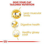 ROYAL CANIN® Siamese Adult Dry Cat Food, 2kg