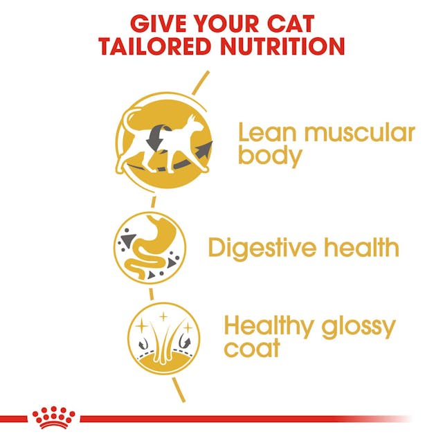ROYAL CANIN® Siames Vuxen Torrfoder för Katt, 10kg