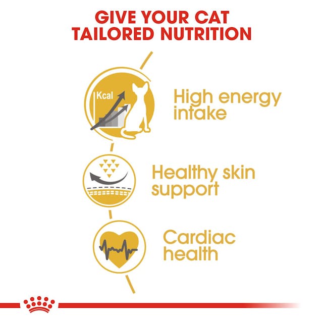 ROYAL CANIN® Sphynx Adult Dry Cat Food, 2 kg