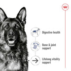 ROYAL CANIN® Maxi Ageing 8+ Dry Dog Food, 15kg