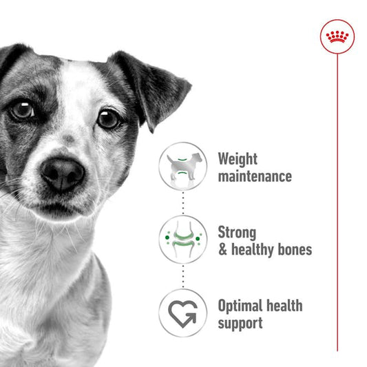 ROYAL CANIN® Mini Adult Sausā barība suņiem, 0,8kg