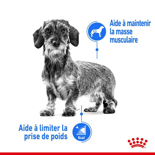 ROYAL CANIN® Light Weight Care, Mitrā barība suņiem, 85g