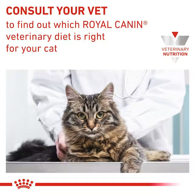 ROYAL CANIN® Veterinary Renal With Fish Thin Slices In Gravy Cat Wet Food, 85 g
