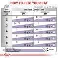 Load image into Gallery viewer, ROYAL CANIN® Veterinary Cat Mature Consult Balance Loaf Wet Cat Food, 85g
