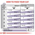 Load image into Gallery viewer, ROYAL CANIN® Veterinary Cat Neutered Maintenance Thin Slices In Gravy Wet Cat Food, 85g
