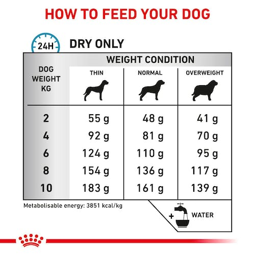 ROYAL CANIN® Veterinary Diet Canine Anallergenic Small Dog Trockenfutter Fisch, 3 kg