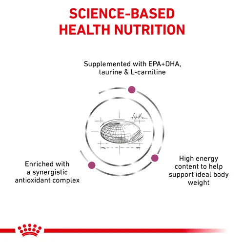 ROYAL CANIN® Veterinary Diet Cardiac Dog Sausā barība suņiem ar mājputna gaļu hronisku sirdsdarbības nepietiekamības gadījumos, 2kg