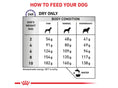 Ielādējiet attēlu galerijas skatītājā, ROYAL CANIN® Veterinary Diet Adult Small Dog- Sausā barība maziem pieaugušiem suņiem ar rīsiem, 2kg
