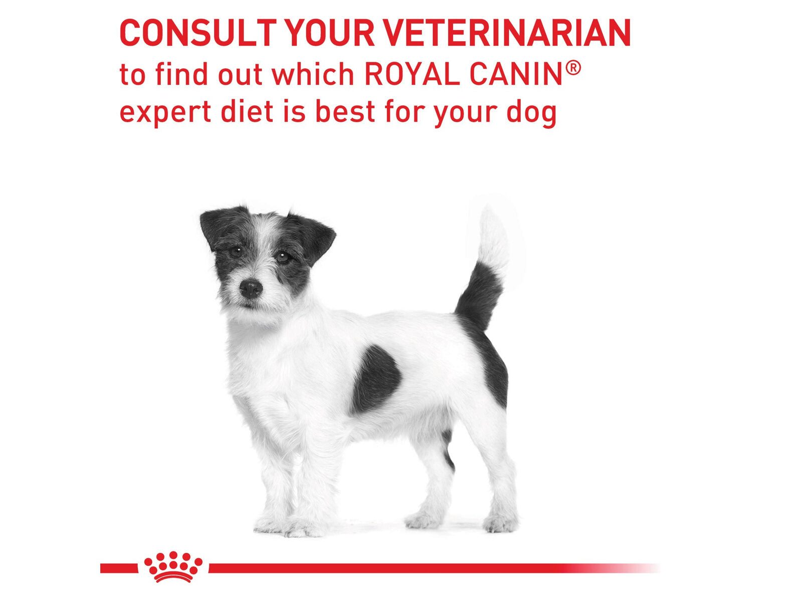 ROYAL CANIN® Veterinary Diet Canine Adult Small Dogs Dry Dog Food With Rise, 8kg