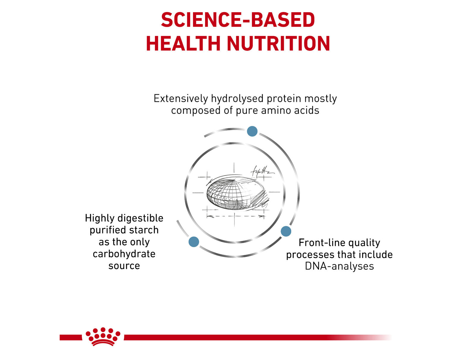 ROYAL CANIN® Veterinary Diet Canine Anallergenic Dog Sausā barība suņiem ar zivi alerģijas gadījumā, 1.5kg