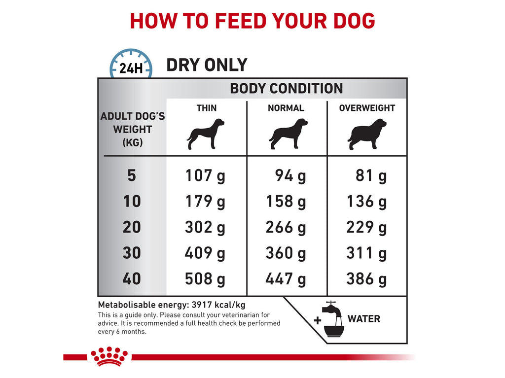 ROYAL CANIN® Veterinary Diet Canine Anallergenes Trockenfutter für Hunde mit Fisch, 3 kg