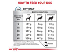 ROYAL CANIN® Veterinary Diet Canine Anallergenes Trockenfutter für Hunde mit Fisch, 3 kg