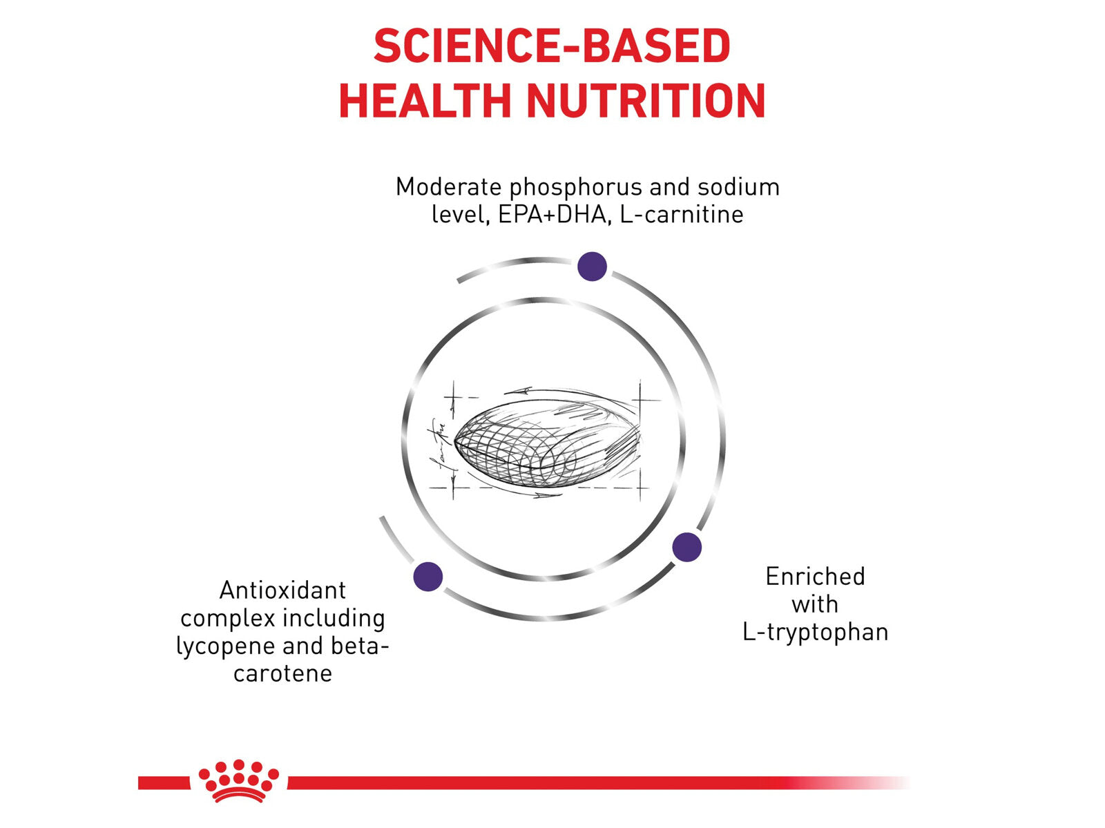 Royal Canin Mature Consult Small Veterinary Diet Canine Dry Dog Food With Poultry, 1,5kg