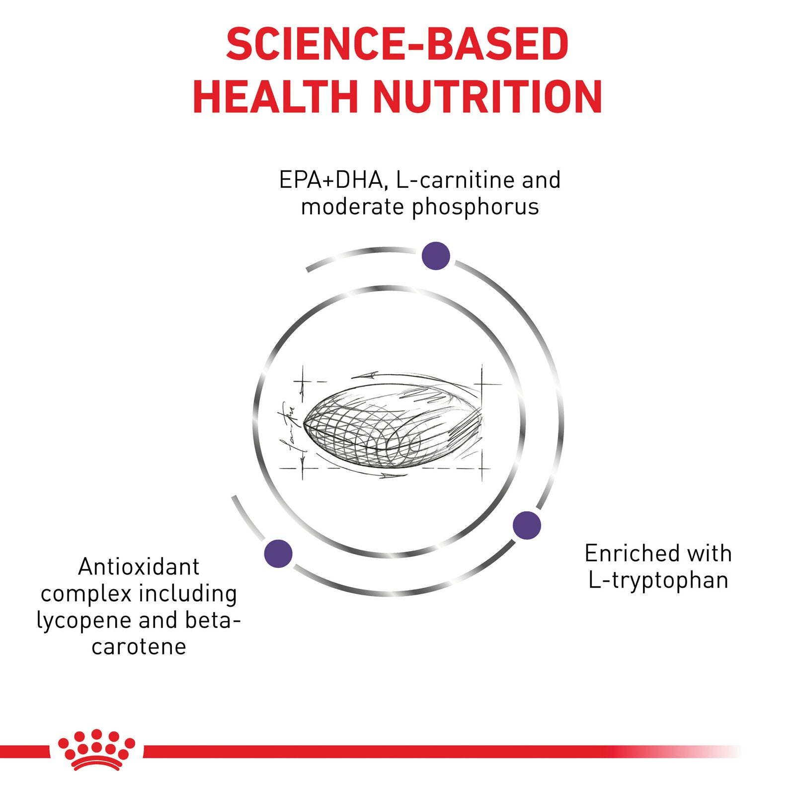 ROYAL CANIN® Mature Consult Large Veterinary  Diet Canine Mature Consult Large Dogs Dry Dog Food With Pork, 14kg