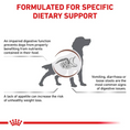 Ielādējiet attēlu galerijas skatītājā, ROYAL CANIN® Veterinary Diet Gastrointestinal Dog Sausā barība kucēniem ar mājputna gaļu gremošanas funkciju veicināšanai, 2kg
