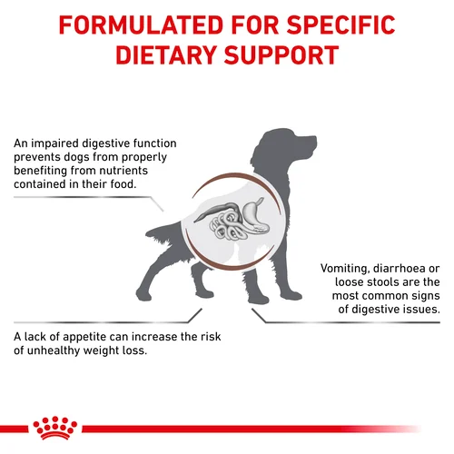 ROYAL CANIN® Veterinary Diet Gastrointestinal Dog Sausā barība kucēniem ar mājputna gaļu gremošanas funkciju veicināšanai, 2kg