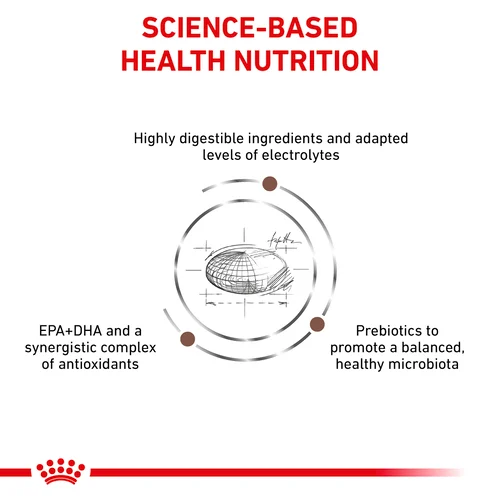 ROYAL CANIN® Veterinary Diet Gastrointestinal Dog Sausā barība kucēniem ar mājputna gaļu gremošanas funkciju veicināšanai, 15kg