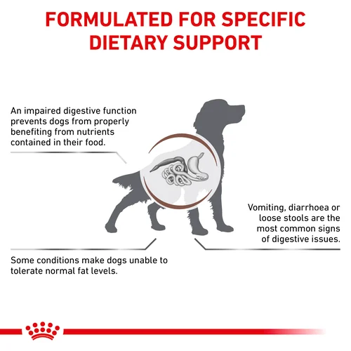 ROYAL CANIN® Veterinary Diet Vétérinaire Gastro-Intestinal Croquettes Faible en Graisses pour Chien à la Volaille, 1,5kg