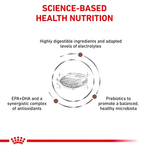 ROYAL CANIN® Veterinary Diet Gastrointestinal Low Fat Dog Sausā barība suņiem ar mājputna gaļu gremošanas funkciju veicināšanai, 15kg