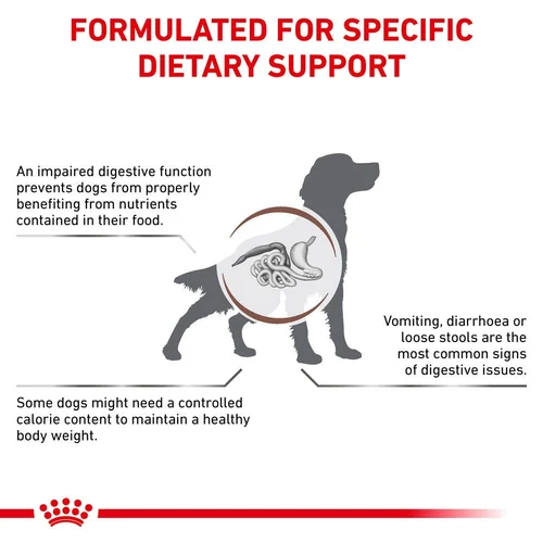 ROYAL CANIN® Veterinary Diet Gastrointestinal Moderate Calorie Dog Sausā barība suņiem ar mājputna gaļu gremošanas funkciju veicināšanai, 2kg