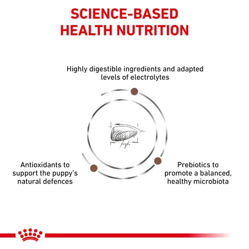 ROYAL CANIN® Veterinary Diet Gastrointestinal Puppy Sausā barība kucēniem ar mājputna gaļu gremošanas funkciju veicināšanai, 2.5kg